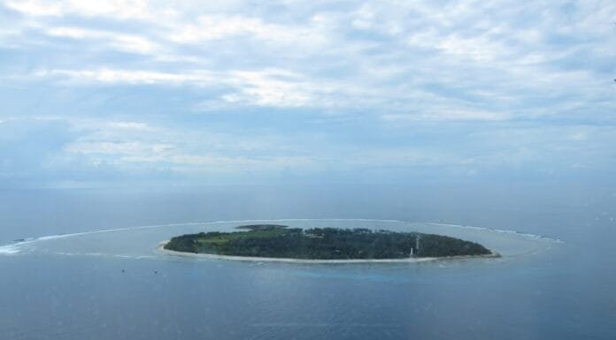 Adventures in the Aussie Sun