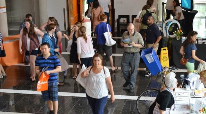 Virtual Travel: An afternoon in the Netherlands