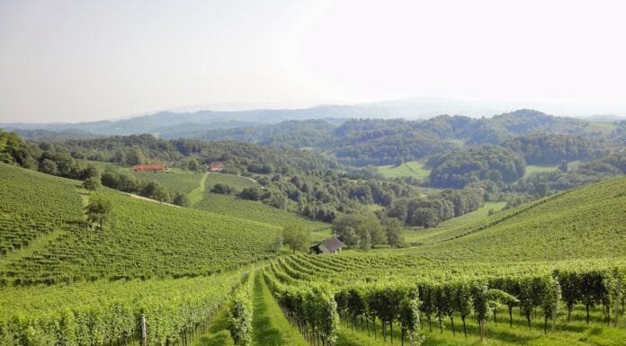 Memory Lane: Roadtrip to Austria