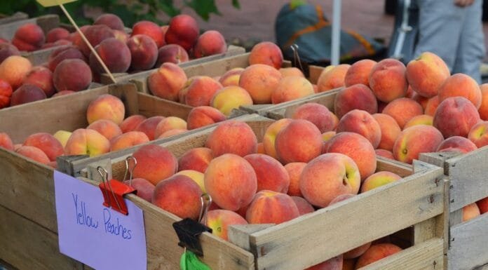 Flavors from Afar: Salads at Bloomingdale Farmer’s Market