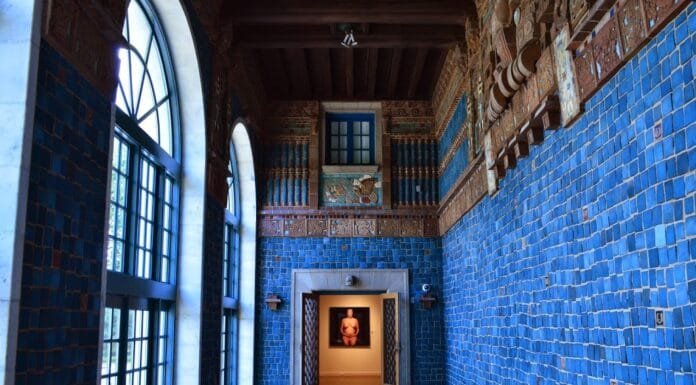 Sunday at the Museum: Art Museum of the Americas