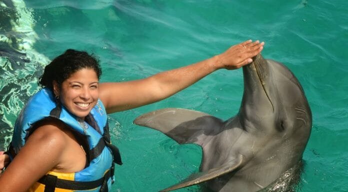 A day at Dolphin Discovery, Isla Mujeres