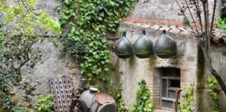 Wine Travel: Cava Tasting in Penedes