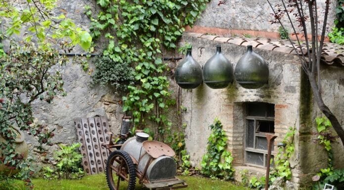 Wine Travel: Cava Tasting in Penedes