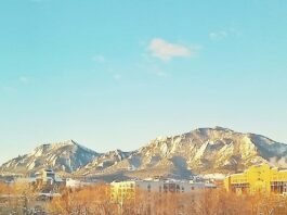 Boulder on Business: The Food