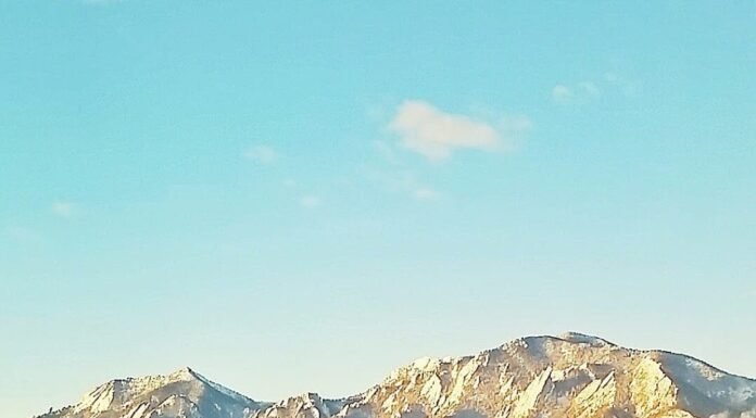 Boulder on Business: The Food