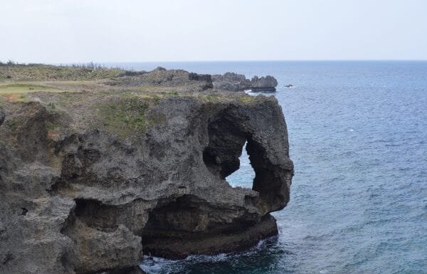 To Live in Okinawa: A Homecoming