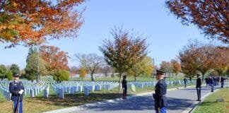 Things to do in Arlington, Virginia Things to do in Arlington, VA Arlington Cemetery