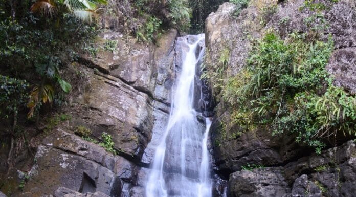 How to Plan Your Perfect Puerto Rico Road Trip Puerto Rico Road Trip El Yunque