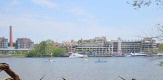 Daycation: What to do in Georgetown DC Luxury Hotels in DC Park Hyatt Washington
