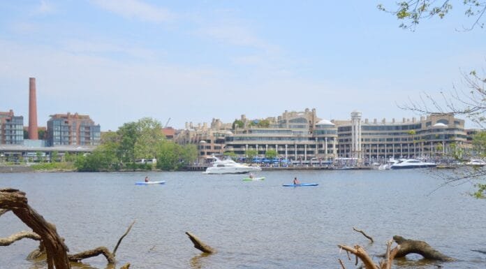Daycation: What to do in Georgetown DC Luxury Hotels in DC Park Hyatt Washington