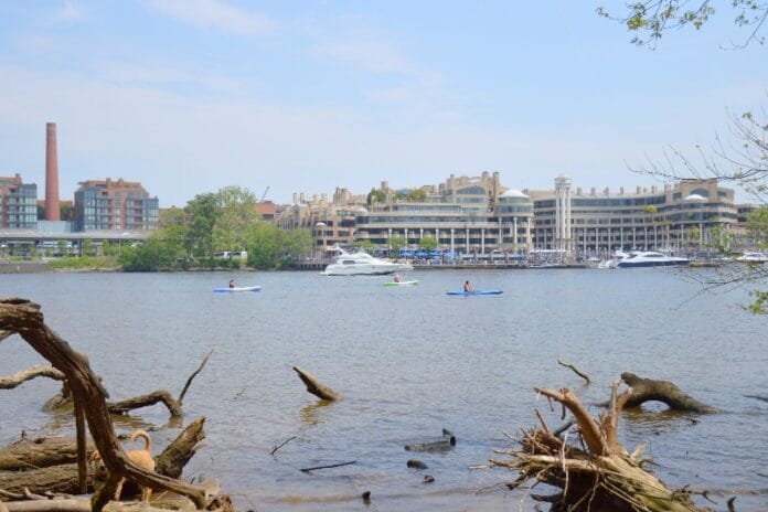 Luxury Hotels in DC Park Hyatt Washington