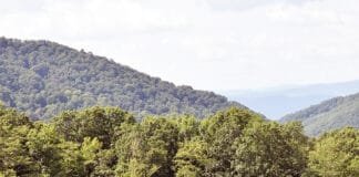 Country Getaway: Natural Retreats Natural Retreats Hot Springs, VA
