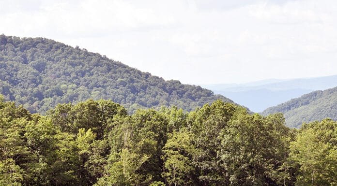 Country Getaway: Natural Retreats Natural Retreats Hot Springs, VA