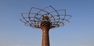 Exploring Expo Milano Expo Milano Tree of Life