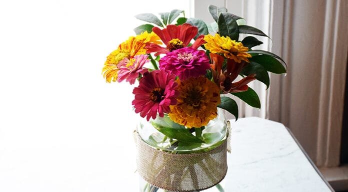 Local Getaways: Lodgecliffe on the Choptank Lodgecliffe on Choptank Room Decor