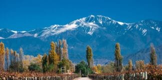 Romantic Weekend Trip to Mendoza Weekend Trip to Mendoza