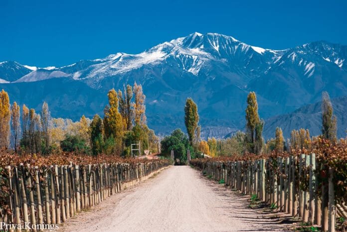 Weekend Trip to Mendoza