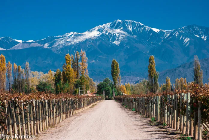 Weekend Trip to Mendoza
