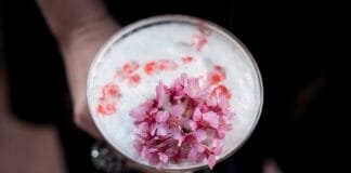 Cherry Blossom Cocktail Recipe from The Melrose Georgetown Hotel Cherry Blossom Cocktail Recipe: Blossomtini at Melrose Georgetown Hotel
