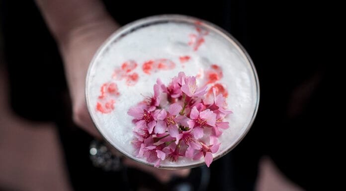 Cherry Blossom Cocktail Recipe from The Melrose Georgetown Hotel Cherry Blossom Cocktail Recipe: Blossomtini at Melrose Georgetown Hotel