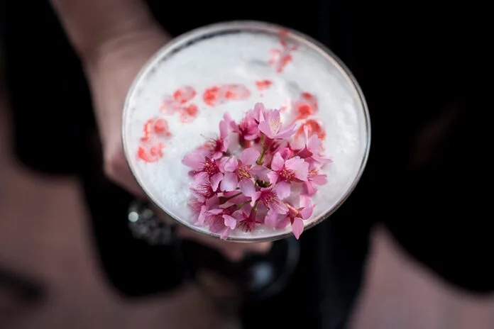 Cherry Blossom Cocktail Recipe: Blossomtini at Melrose Georgetown Hotel