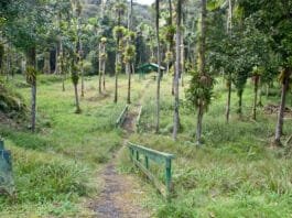 What does the Puerto Rico Budget Crisis Mean to You, the Tourist? Puerto Rico Budget Crisis and Travel