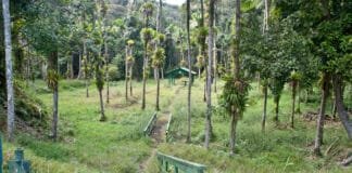 What does the Puerto Rico Budget Crisis Mean to You, the Tourist? Puerto Rico Budget Crisis and Travel