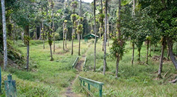 What does the Puerto Rico Budget Crisis Mean to You, the Tourist? Puerto Rico Budget Crisis and Travel