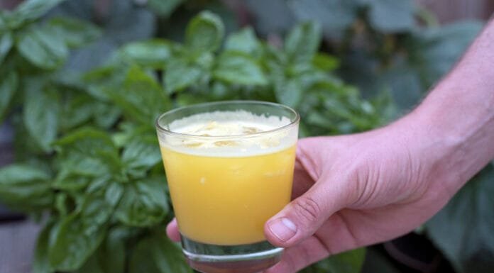 Summer Cocktail Recipes: Piña Alocada Summer Cocktail Recipes