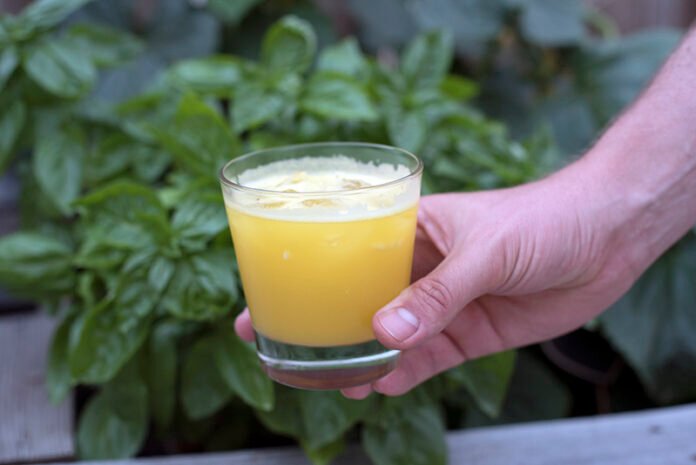 Summer Cocktail Recipes