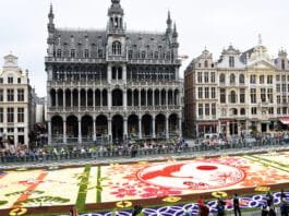 The Magic of the Brussels Flower Carpet 2016 Brussels Flower Carpet