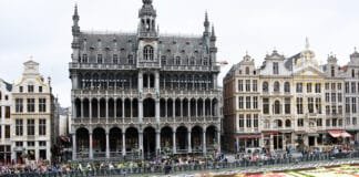 The Magic of the Brussels Flower Carpet 2016 Brussels Flower Carpet