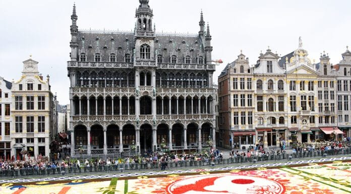The Magic of the Brussels Flower Carpet 2016 Brussels Flower Carpet