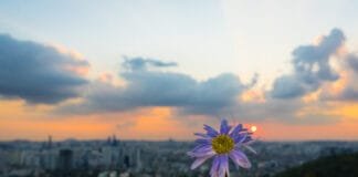 Why You Should Visit Seoul You Should Visit Seoul for Nature and Culture