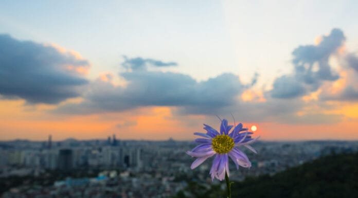 Why You Should Visit Seoul You Should Visit Seoul for Nature and Culture