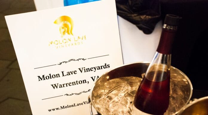 RECAP: Fauquier County Wine Tasting & Competition