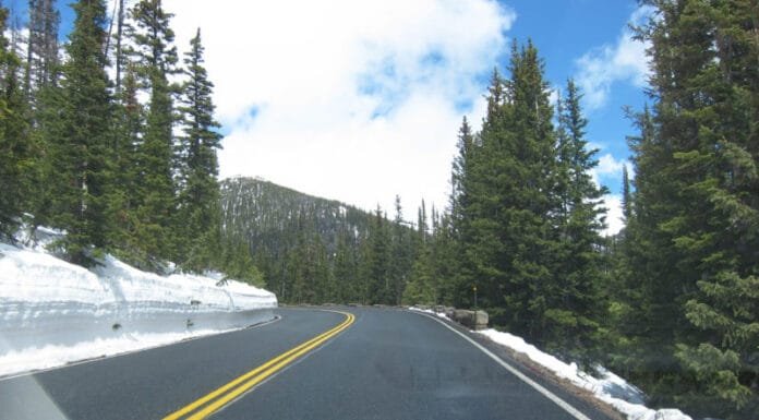 Travel Tips: What to Snack on the Road What to Snack on the Road