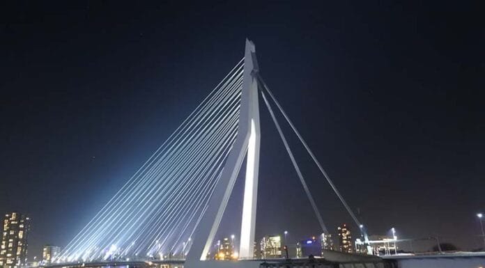 Beyond Amsterdam: Weekend Trip to Rotterdam Weekend Trip to Rotterdam Architecture Erasmus Bridge