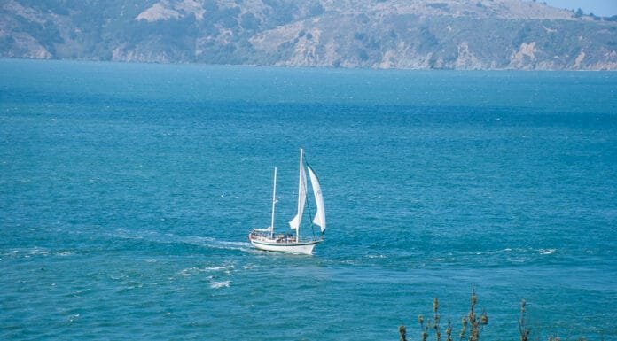 Escapes: Exploring San Francisco