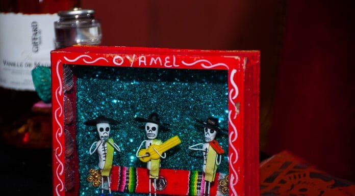 Day of the Dead Dining at Oyamel
