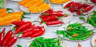 Escapes: Indulging in Rio de Janeiro