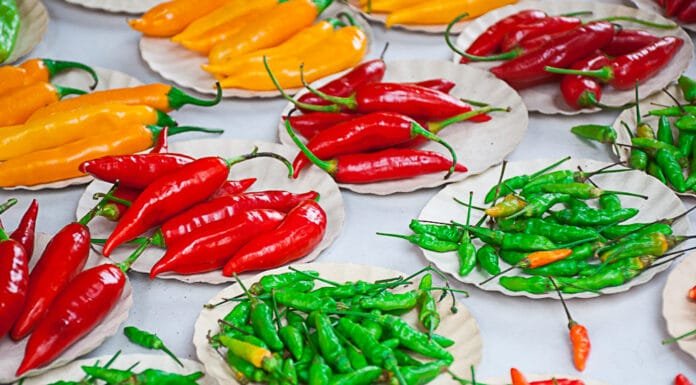 Escapes: Indulging in Rio de Janeiro