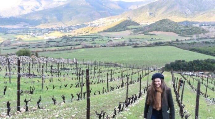Travel Influences: Sommelier Victoria James , in theVIctoria James at Antoine Arena vineyards of Haut-Carco, Corsica, France; Photo Credit: Lyle Railsback