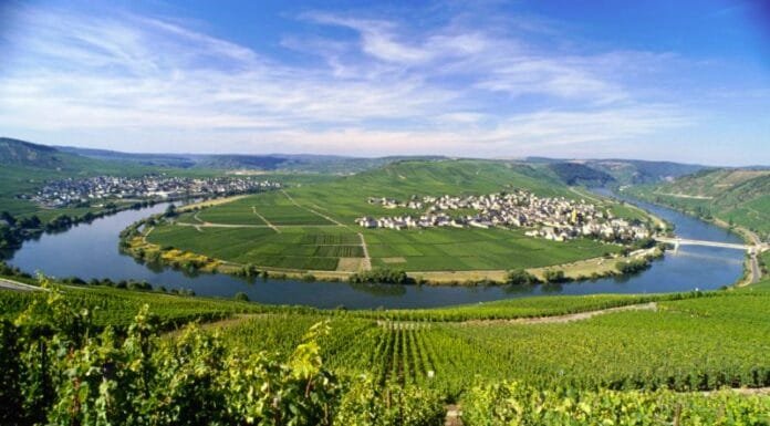Why You Should Travel for German Wine