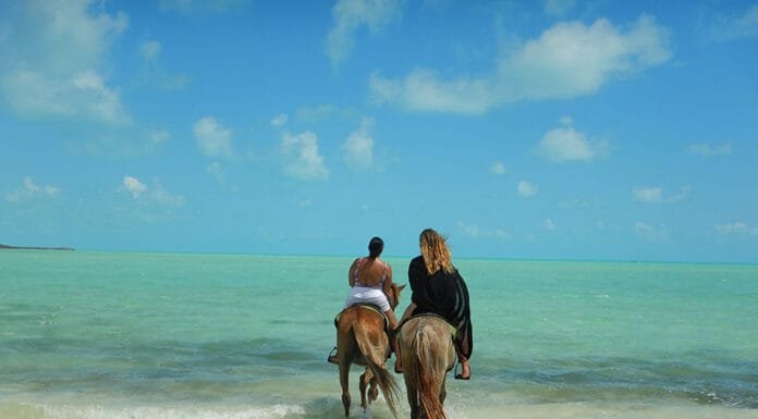 Escapes: Three Days in Providenciales, Turks and Caicos Three Days in Providenciales Turks and Caicos Heritage Tours
