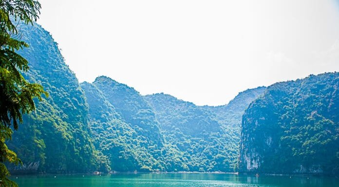 Living the dream: Cruising on Halong Bay