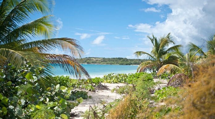 Escapes: Two Days in Vieques, Puerto Rico