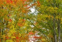 An Outdoor Adventure: Vermont’s Inn to Inn Walking Tour