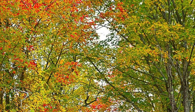 An Outdoor Adventure: Vermont’s Inn to Inn Walking Tour